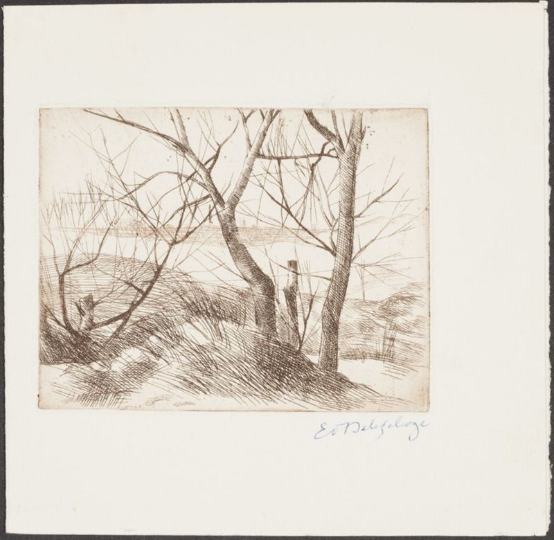 Paysage hivernal