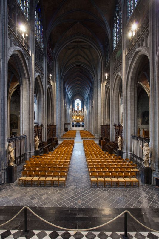 collégiale / Eglise Sainte-Waudru[Mons]