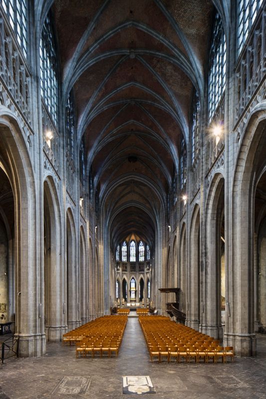 collégiale / Eglise Sainte-Waudru[Mons]