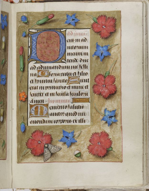 Livre d'heures de Janneke Bollengier, usage de Rome