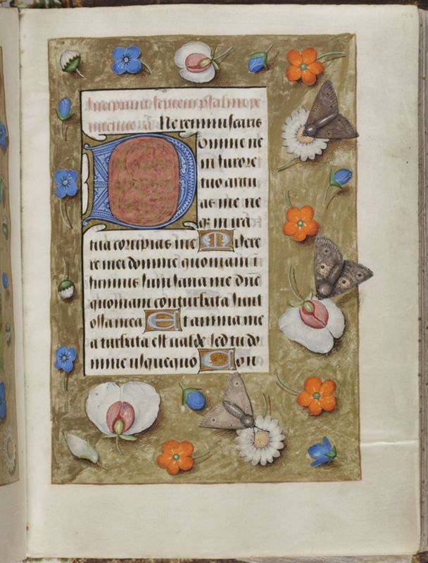 Livre d'heures de Janneke Bollengier, usage de Rome