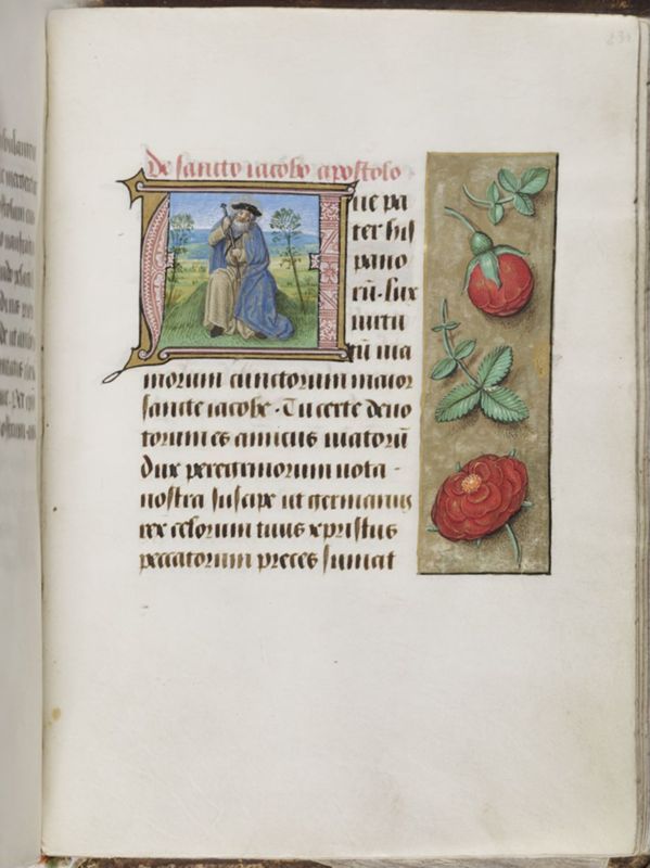 Livre d'heures de Janneke Bollengier, usage de Rome