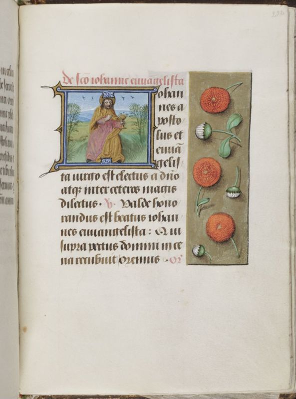 Livre d'heures de Janneke Bollengier, usage de Rome