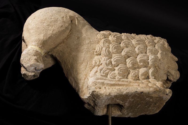 Lion d'anthée