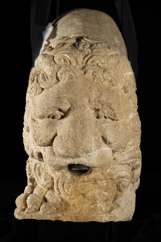 Lion d'anthée