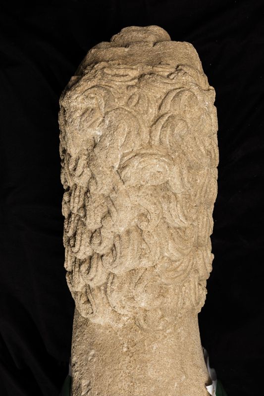 Lion d'anthée