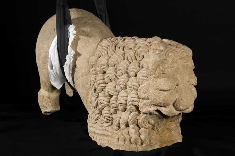 Lion d'anthée