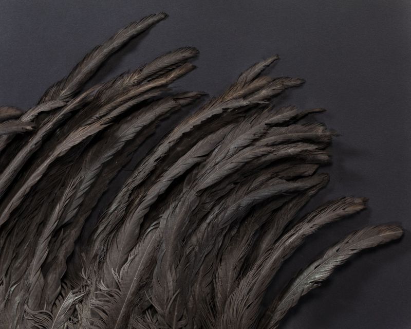 coiffe de plumes / Musées Royaux d'Art et d'Histoire