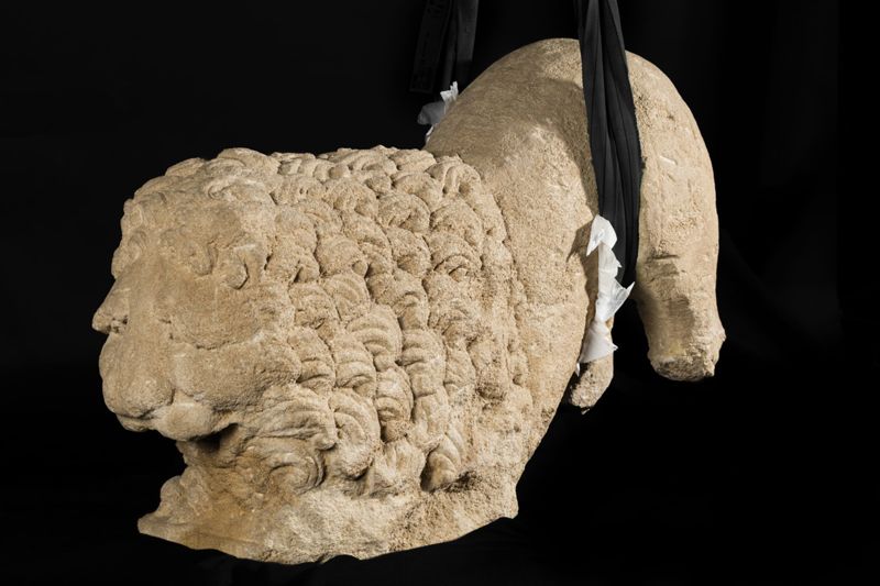 Lion d'anthée