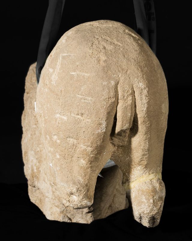 Lion d'anthée