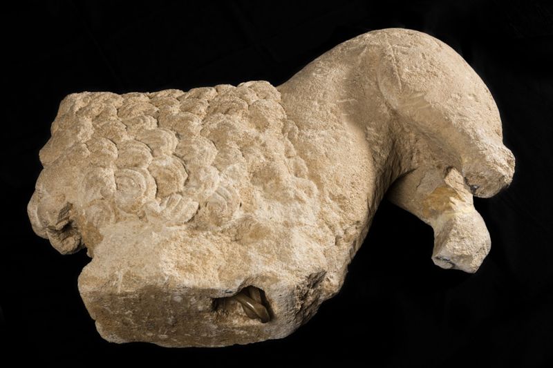 Lion d'anthée