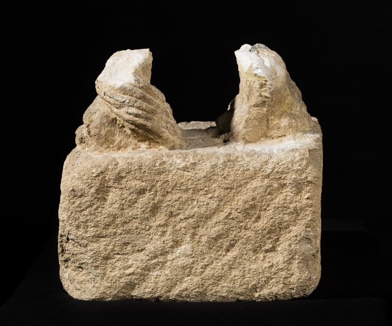 Lion d'anthée