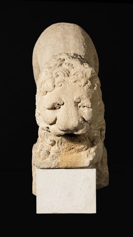 Lion d'anthée