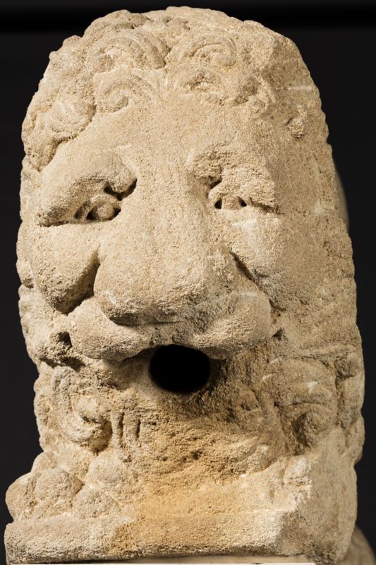 Lion d'anthée