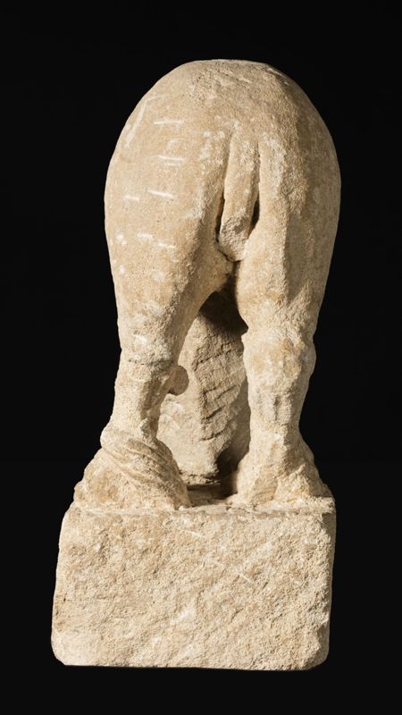 Lion d'anthée