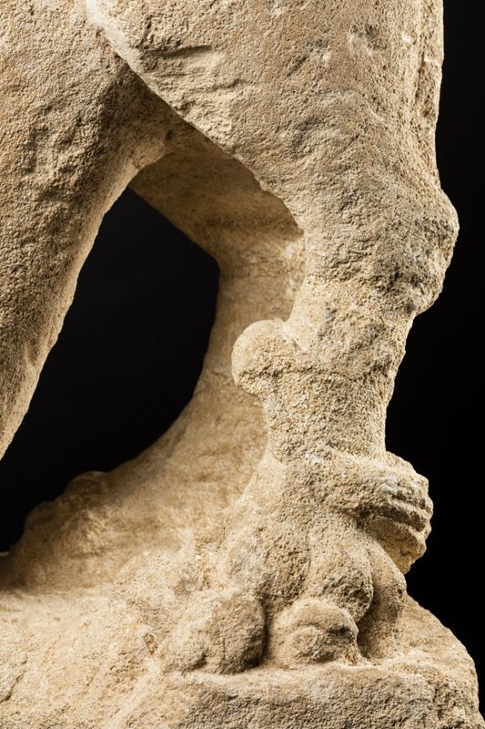 Lion d'anthée