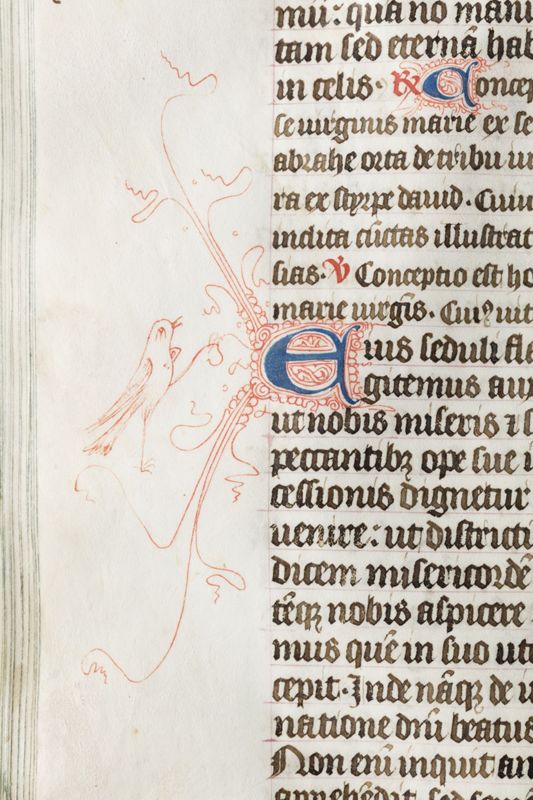 Bréviaire à l'usage de l'Abbaye Saint-Adrien de Grammont (Geraardsbergen), vol. 2