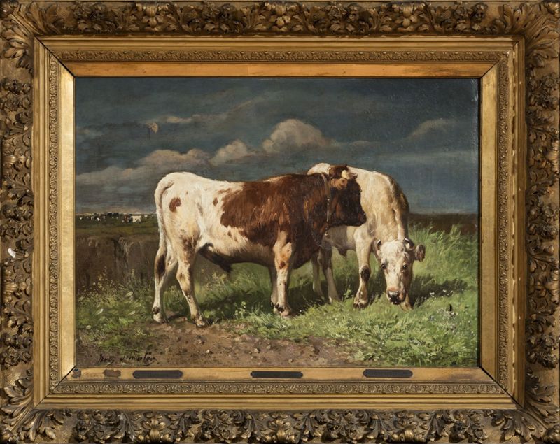 Stier en koe