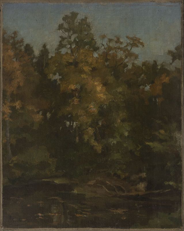 Sous-bois