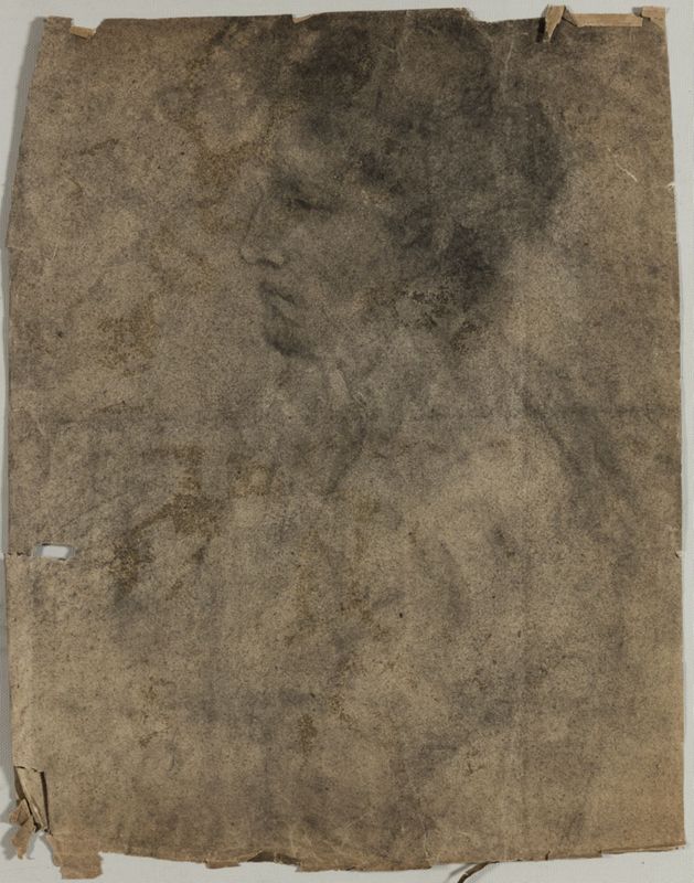 Portrait de femme