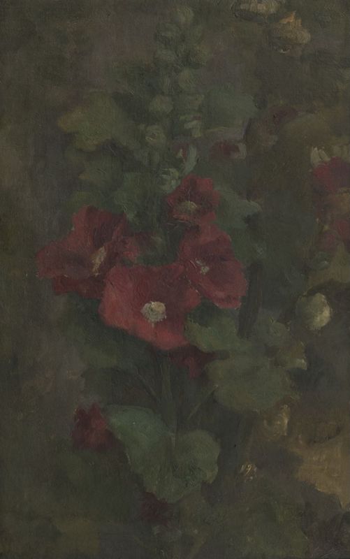 Roses trémières