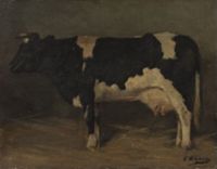 X135584