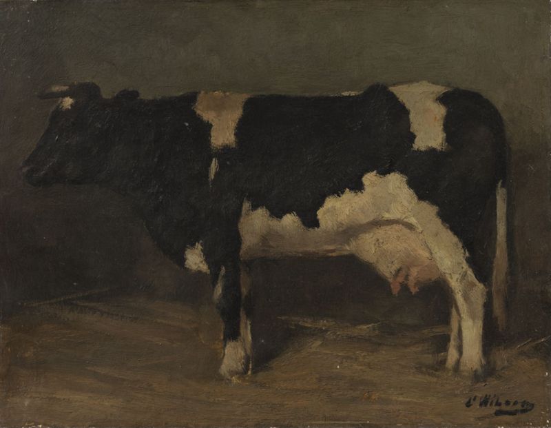 Etude de vache