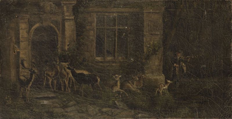 Nourrissage des daims