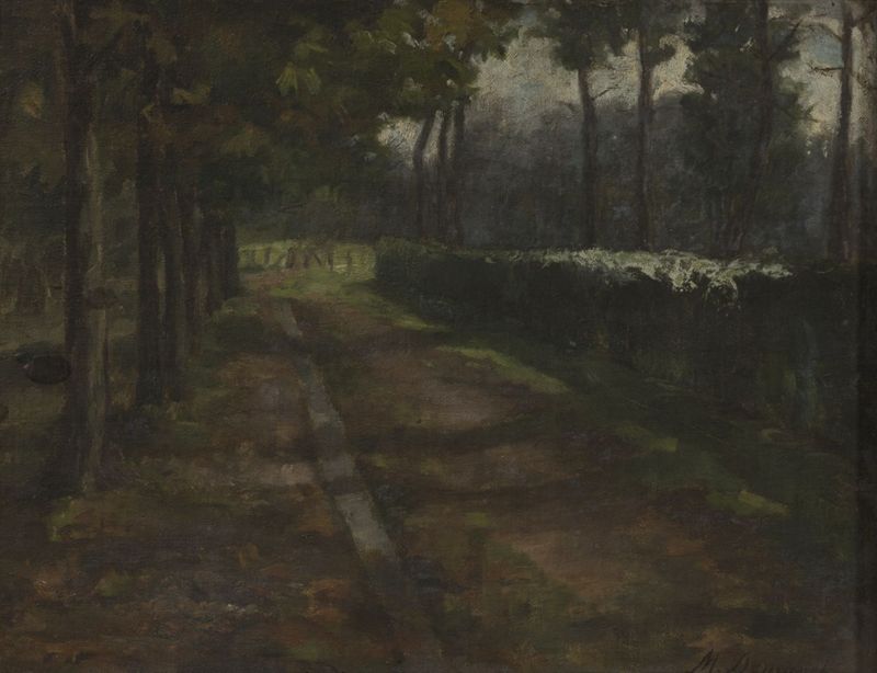 Chemin sous-bois
