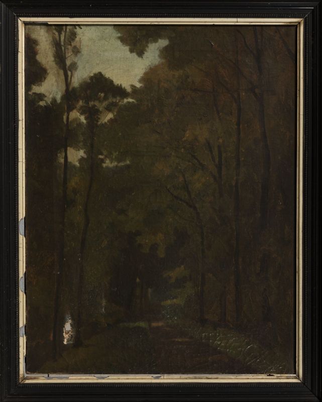 Sous-bois. Chemin