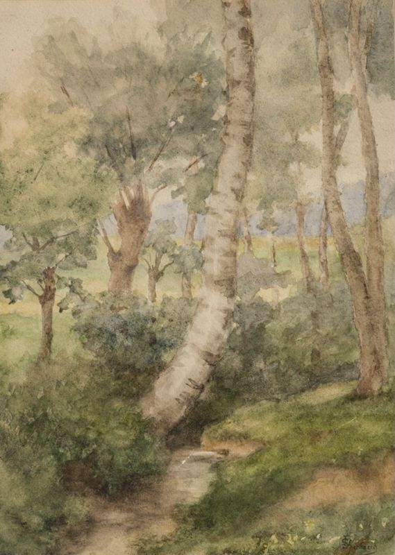 Le ruisseau