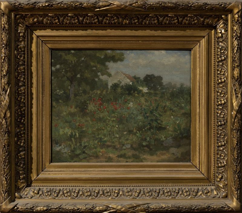 Coquelicots