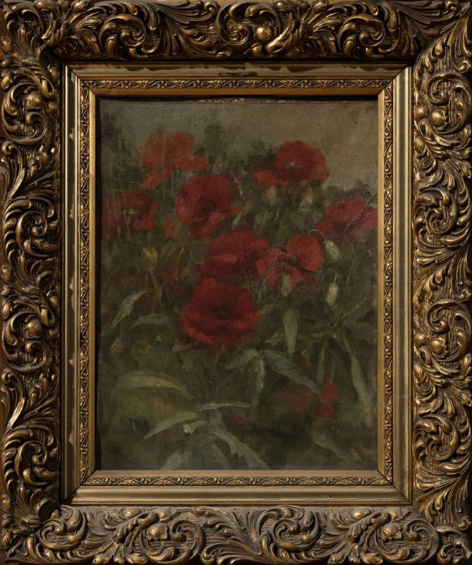 Coquelicots