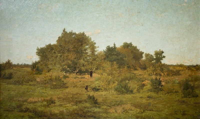 Paysage de Campine