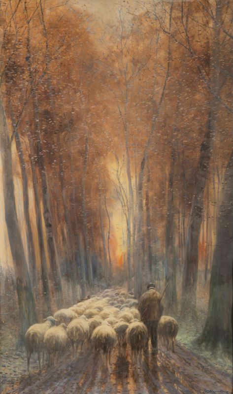 Drève des moutons