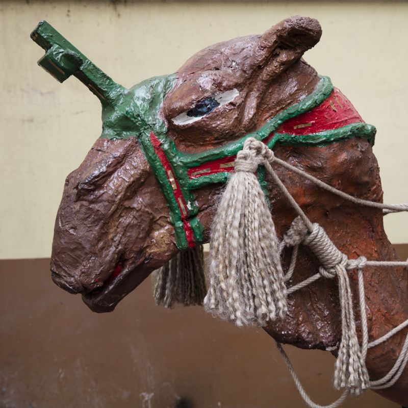 Animaux processionnels de l’Ommegang de Bruxelles : le chameau