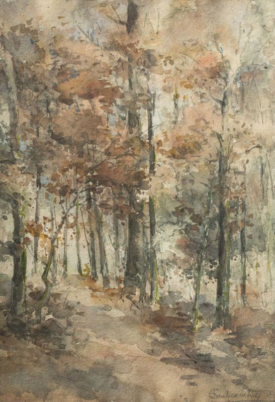 Windsor Forest