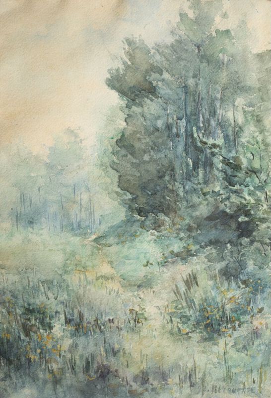 Windsor Forest