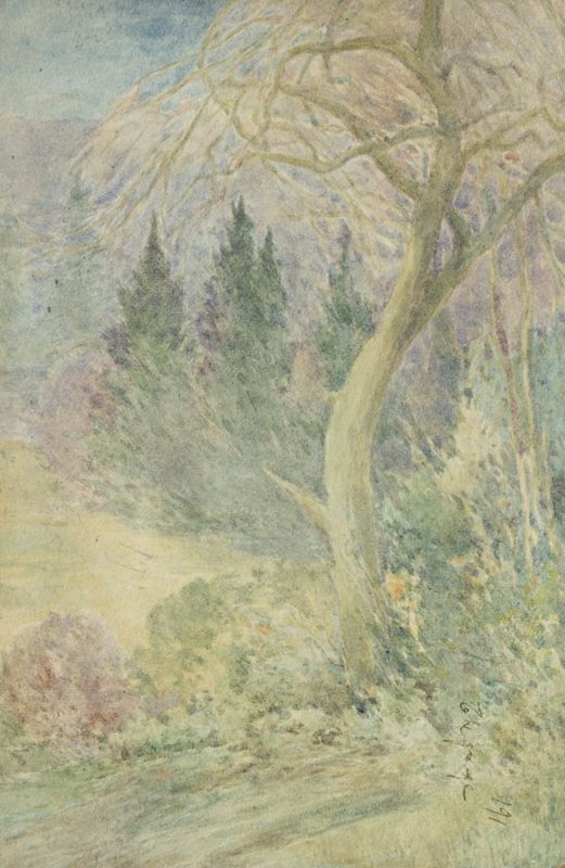 Windsor Forest