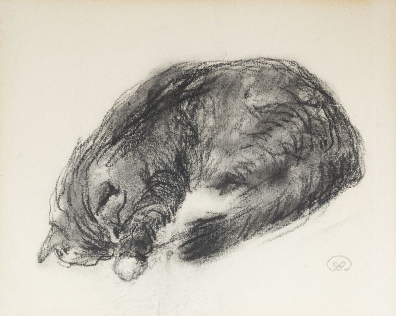 Le chat endormi