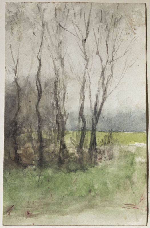 Paysage forestier