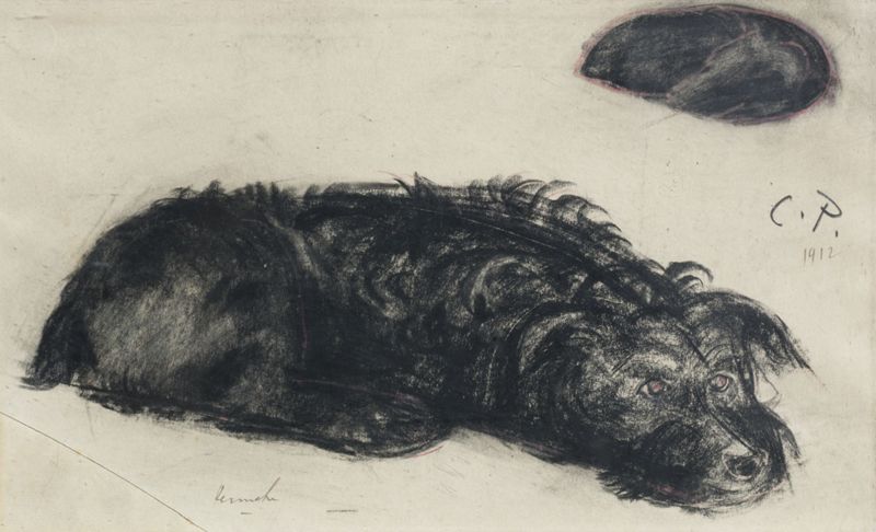 Le chien