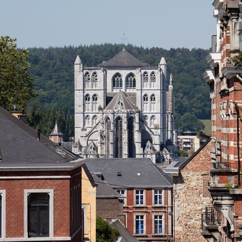 Collégiale Notre-Dame et Saint-Domitien