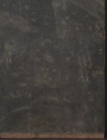 X161351
