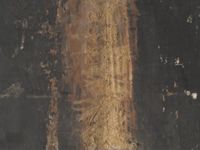 X161377