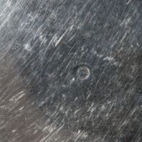 X162987