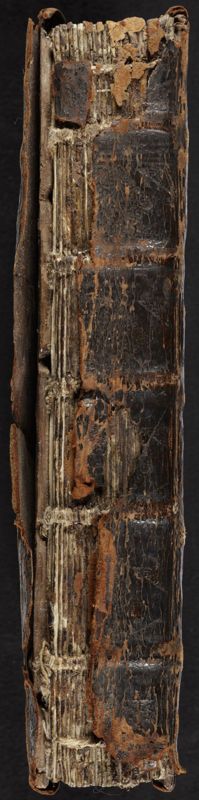 van boek "Broederschap van St-Niklaas en St-Maarten te Ekkergem"