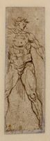 Y004564