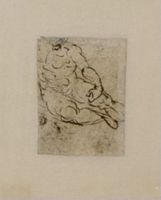 Y004586