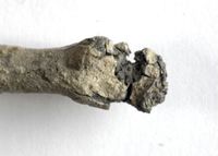 Y005444